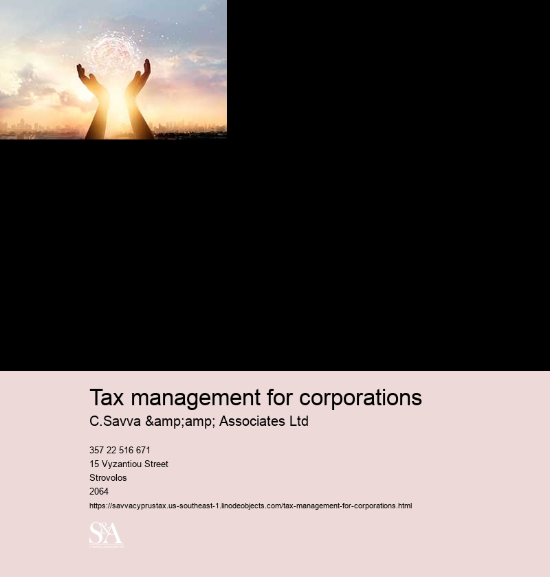 Corporation Taxation Services